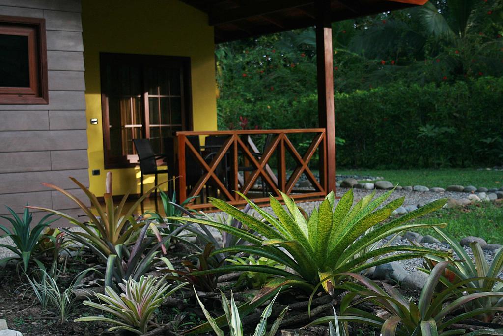 Oasi Apartment Cahuita Room photo